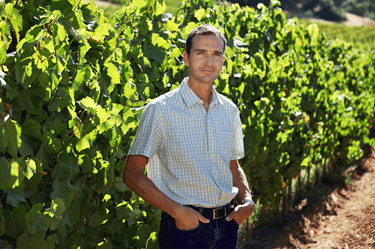 Roederer winemaker and vice president Arnaud Weyrich