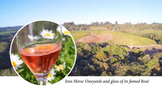 Distant view of Iron Horse Vineyards and inset glass of rosé