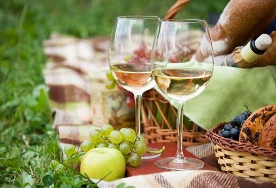 Picnic scene with two glasses of Chardonnay 