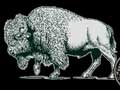 American bison illustration on 1000 Stories labels