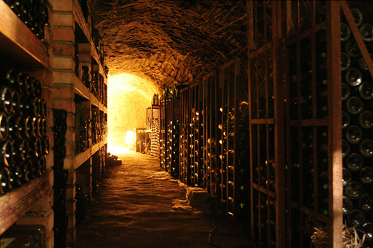 wine cellar photo